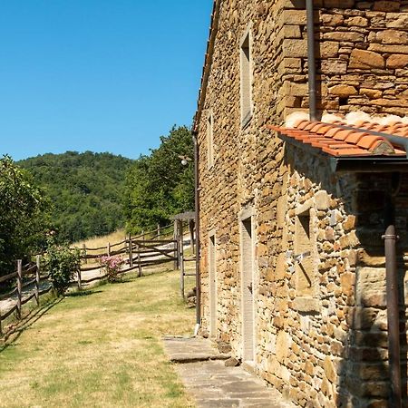 Agriturismo Con Piscina In Toscana, Tribbiano Ареццо Екстер'єр фото