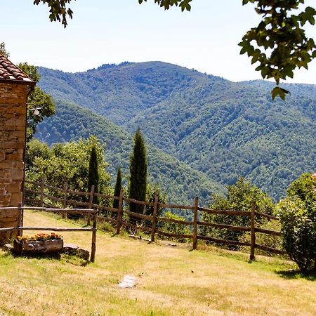 Agriturismo Con Piscina In Toscana, Tribbiano Ареццо Екстер'єр фото