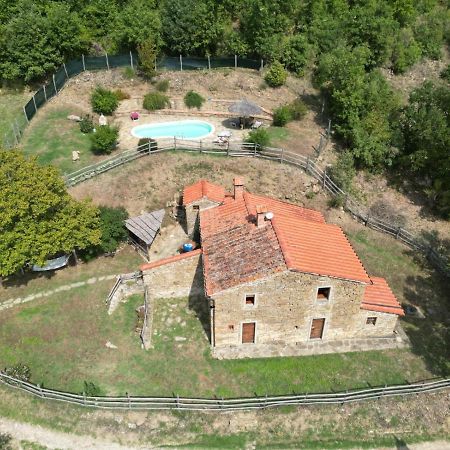 Agriturismo Con Piscina In Toscana, Tribbiano Ареццо Екстер'єр фото