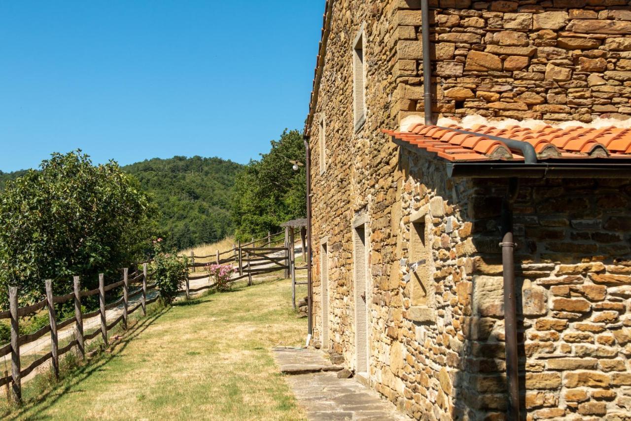 Agriturismo Con Piscina In Toscana, Tribbiano Ареццо Екстер'єр фото