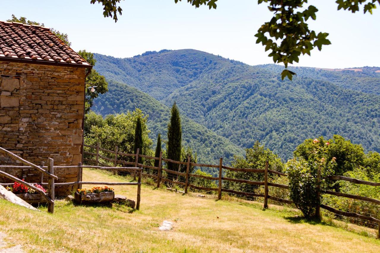 Agriturismo Con Piscina In Toscana, Tribbiano Ареццо Екстер'єр фото