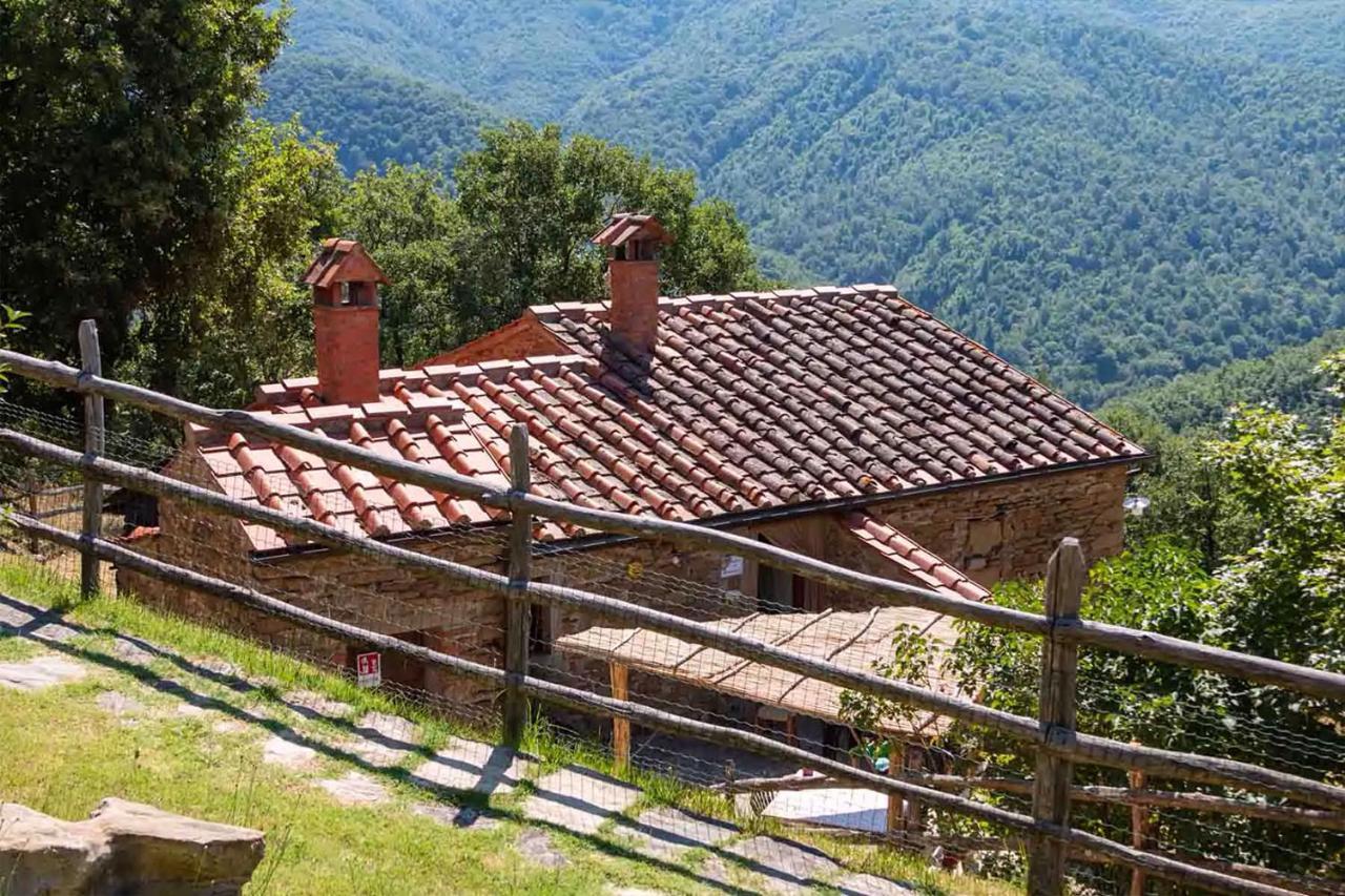 Agriturismo Con Piscina In Toscana, Tribbiano Ареццо Екстер'єр фото